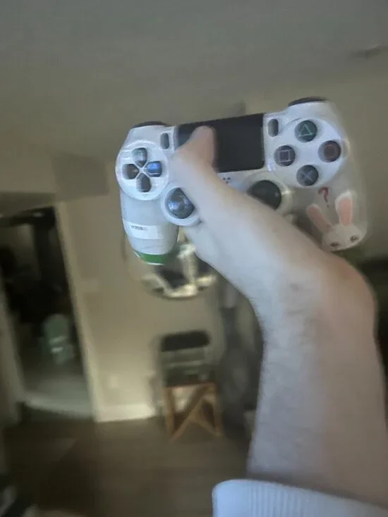 PS4 Raddit art - Picture 3 of 3